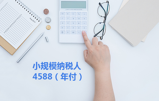 小规模纳税人4588（年付）